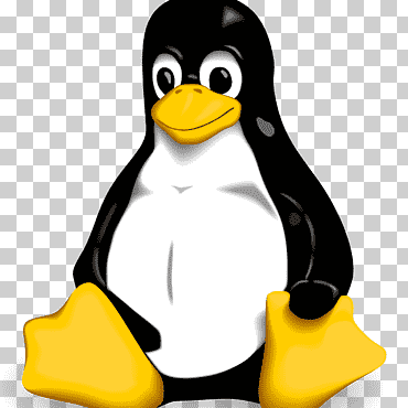 tux linux linux, computadora, pájaro, interfaz de línea de comando png