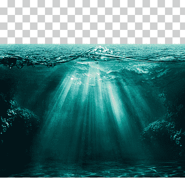 Enfoque selectivo Cuerpo de agua, luz mar, mar profundo, mar, hermosas vistas del océano, nube, trullo, Medusa png