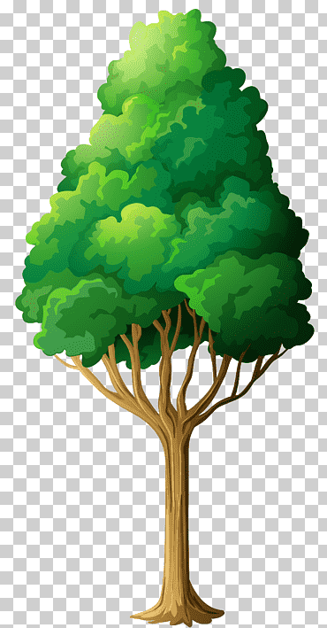 árbol verde, ilustración de árbol de hojas verdes, hoja, rama, hierba png