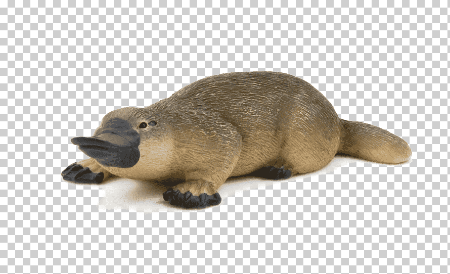 zoo tycoon 2 platypus