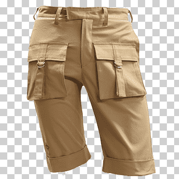 Short cargo marrón, bolsillos cortos de pantalón, ropa, pantalones cortos, marrón png