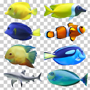 Pescado, archivo de computadora de pescado euclidiano, pez de mar tropical, acuático, fauna, Biología Marina png