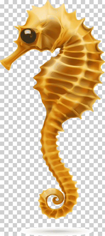 Ilustración de caballito de mar marrón, hipocampo, animal, submarino, coral png