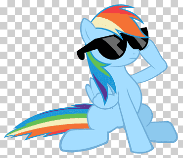 Rainbow Dash rareza gafas de sol, lidiar con ello, mamífero, Moda, vertebrado png