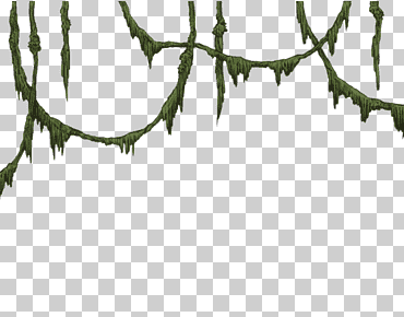 selva liana, hoja, rama, tallo de la planta png