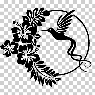 artes visuales hawaii silueta, colibri, hoja, rama, monocromo png