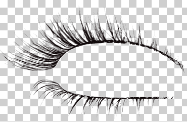 Ilustración de pestañas, extensiones de pestañas pincel, pestañas, gente, productos cosméticos, monocromo png