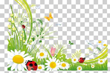 escritorio mariposa, manzanilla, arreglos florales, fondo de pantalla de la computadora, insectos png