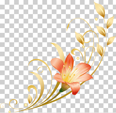Idea de impresión y escritura de papel, lilly., diverso, arreglos florales, fondo de pantalla de la computadora png