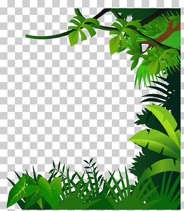 Ilustración de hojas verdes, dibujo de selva, material de borde., hoja, rama, tallo de la planta png