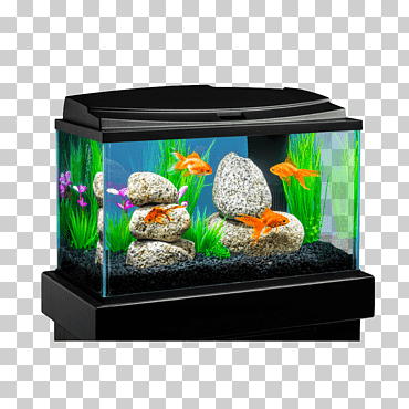 acuarios goldfish aqua culture kit de inicio para acuarios de 10 galones, acuario directo, acuario, calentador, decoración del acuario png