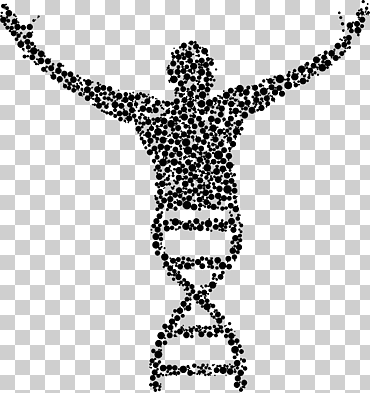 biología molecular ADN, ciencia, biología, monocromo, célula png