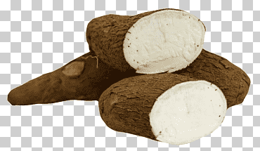Cultivos de raices marrones, yuca, alimento, tubioca, tubérculo vegetal, yuca., receta, cocina, raíz png