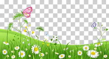 jardín verde, hoja, fondo de pantalla de la computadora, hierba png