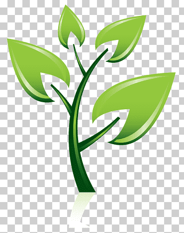plantación de árboles jardín poda vivero, árbol, hoja, logo, tallo de la planta png