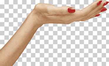 icono de mano de mujer, mano de manos, formatos de archivo de imagen, gente, pegatina png