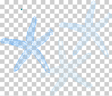 estrella de mar invertebrados organismo equinodermo marino, estrella de mar, animales, microsoft azure, animal png