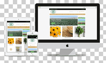 Веб-разработка Clap Creative CodeIgniter PHP WordPress, WordPress, веб-дизайн, дисплей Реклама, веб-приложение png