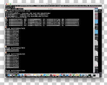 programa informático kernel panic launchd macos, apple, electrónica, texto, nuez de fruta png