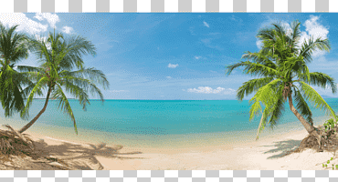 stock photography playa cabaña islas tropicales resort mural, playa, playa, fotografía, fondo de pantalla de la computadora png