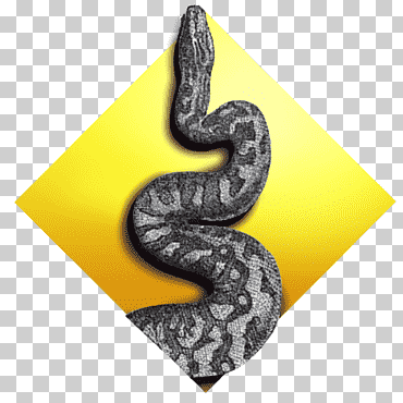 python de aprendizaje en python: potente tutorial de python orientado a objetos, libro, programa de computadora, reptil a escala, programación de computadoras png
