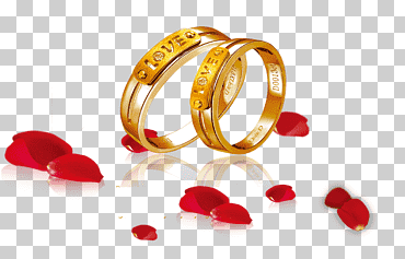 Ilustración de anillos de color dorado, anillo de bodas, pétalos decoración de bodas, amor, flotante, anillo png
