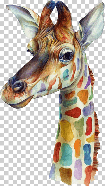 iphone 6 más iphone 5 iphone 4s iphone 7, jirafa acuarela, ilustración de jirafa, pintura de acuarela, hojas de acuarela, animales png