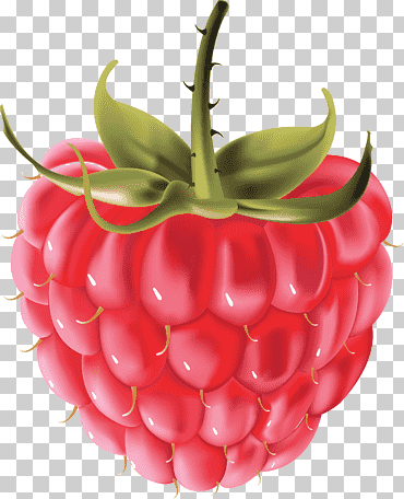 frambuesa, alimentos naturales, Frutti di Bosco, comida png