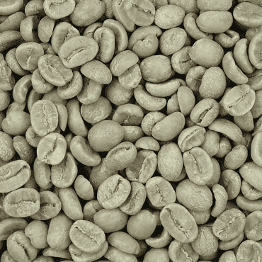Arabica Coffee Robusta Coffee Coffea Liberica Coffee Beans, Coffee Jar, café, Fruta, superalimento png