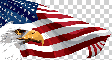 Bandera de los Estados Unidos, bandera americana y águila, u.s. bandera, bandera, presentación, Águila calva png