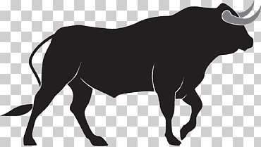 toro de carga europa ganado tauro, toro, mamífero, animales, gato como mamífero png