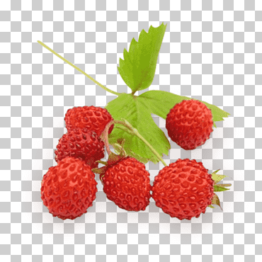 Fresas silvestres Frutas Frambuesas, Fresas, fresa salvaje, fresa, bayas png
