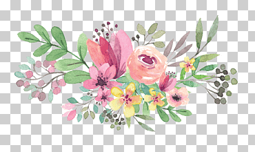 ramo de flores, pintado a mano, ramo de flores, las flores png