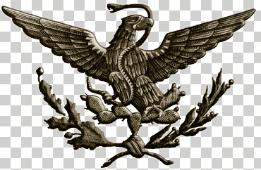 bandera de mexico bandera dia eagle porfiriato, eagle, animales, pájaro, bandera nacional png