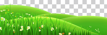 pradera de flores, campo de hierba, hoja, fondo de pantalla de la computadora, césped artificial png