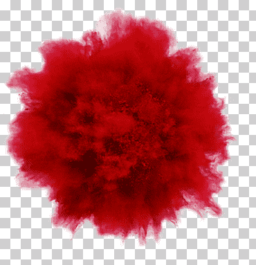 Explosión de humo rojo, colorete de polvo de explosión rouge, salpicaduras de color, productos cosméticos, color, flor png