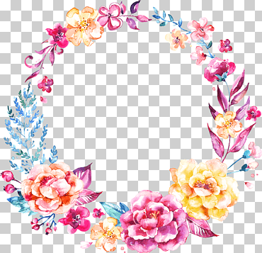 círculo de frontera de flores, las flores, peonía, hermoso png