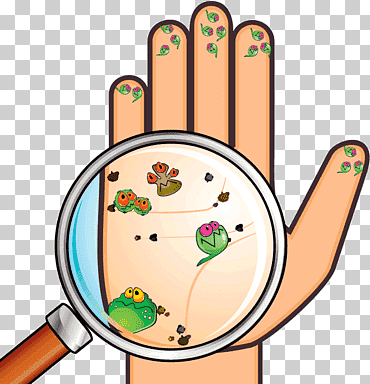 higiene de manos lavado de bacterias, mano, mano, higiene, Lavado png