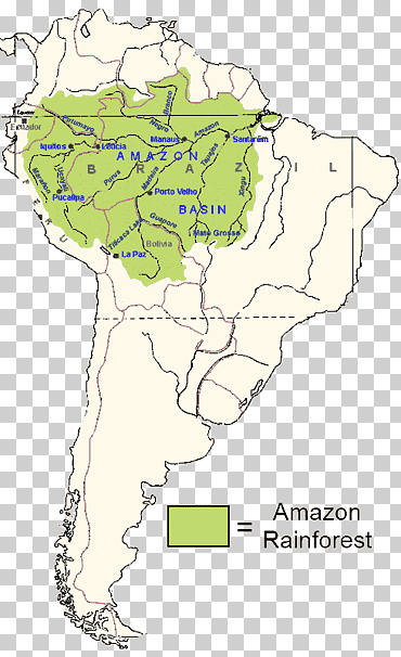 línea punto organismo de ecorregión, río amazon, mapa, río Amazonas, zona png