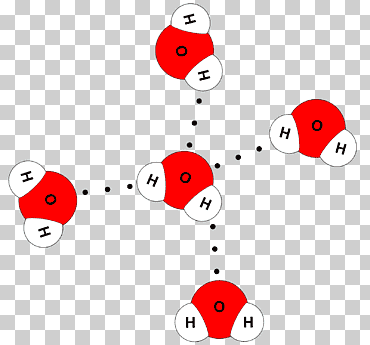 molécula agua modelo molecular enlace de hidrógeno enlace químico, agua, texto, biología, química png