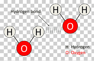 diagrama enlace de hidrógeno molécula agua enlace químico, burbuja de oxígeno, ángulo, texto, logo png