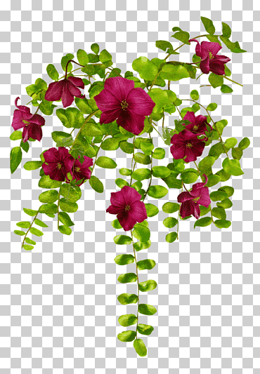 diseño floral flor planta rosa, بسم الله الرحمن الرحيم, arreglos florales, hoja, rama png