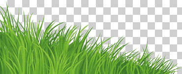 césped, hierba verde, pintado, mano, hierba png