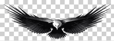 águila calva águila dorada, águila, animales, monocromo, pájaro png