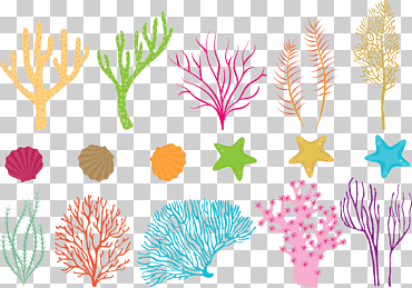 Ilustración de corales de mar en colores surtidos, mar de peces de arrecife de coral, coral de colores, púrpura, salpicadura de color, hoja png
