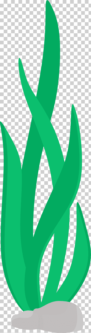 algas marinas, hoja, hierba, zapato png