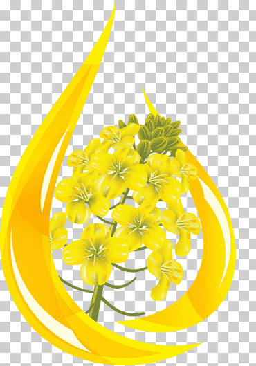 Canola colza colza, rendimiento de cultivos., comida, petróleo, flor png