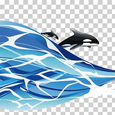 Ilustración del mar, de los tiburones del mar., azul, mamífero marino, mamífero png