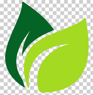 Ilustración de hoja verde, logotipo de hoja, hojas de plátano., vegetales de hoja, texto, hoja de arce png