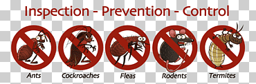 control de plagas industria de exterminadores de termitas, manejo de plagas, comida, texto, logo png